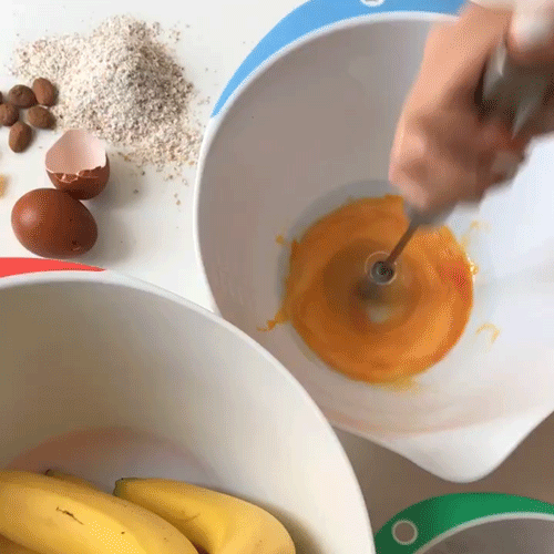 Professional Stainless Steel Eco Whisk