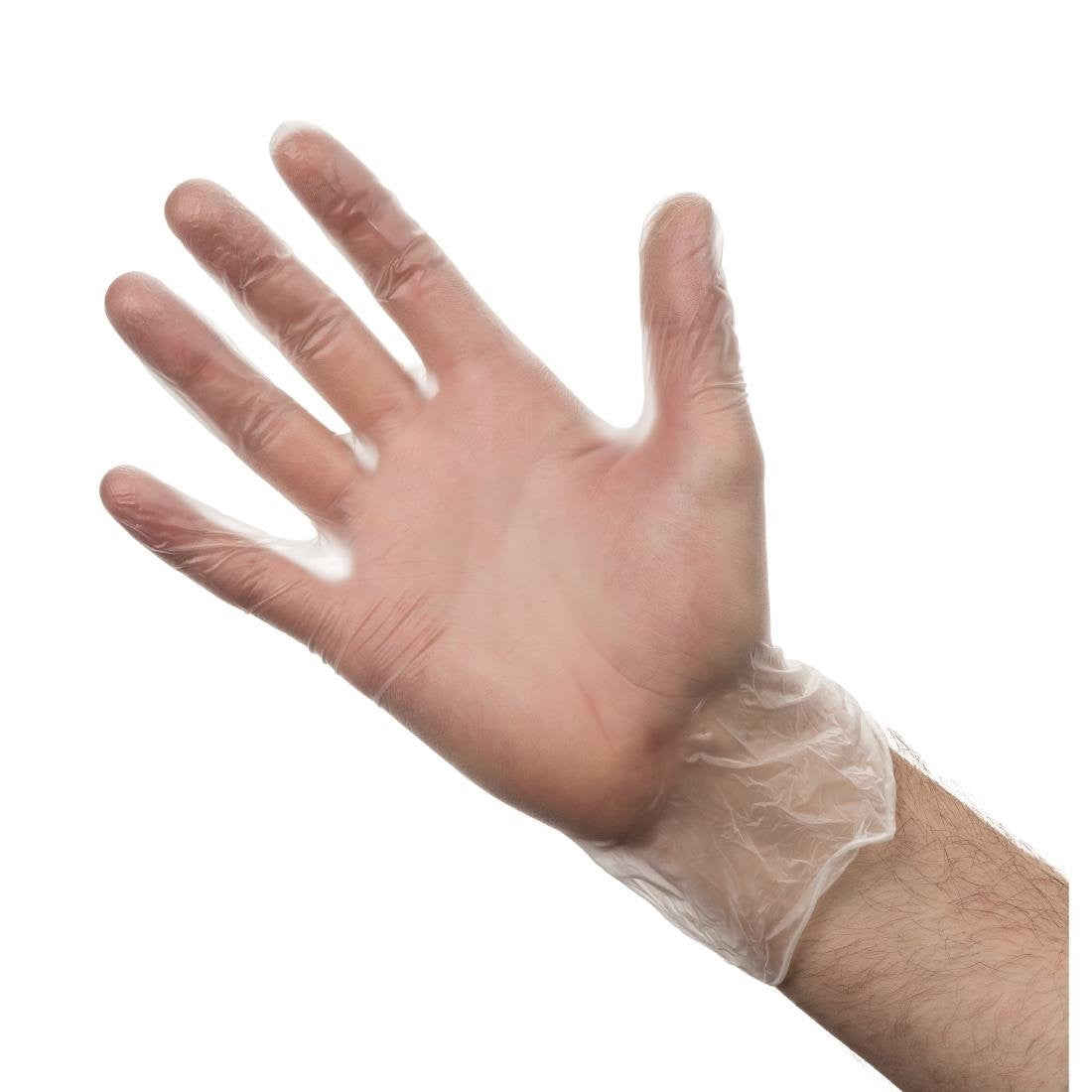 Disposable Gloves - Pack of 2