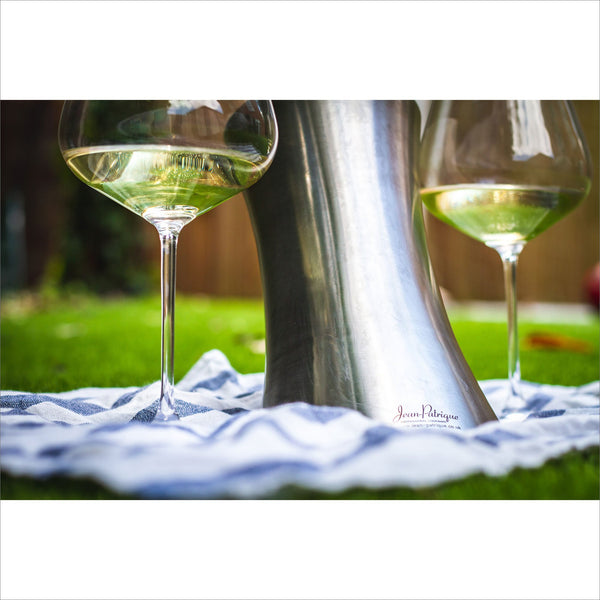 Wine & Champagne Chiller - Stainless Steel