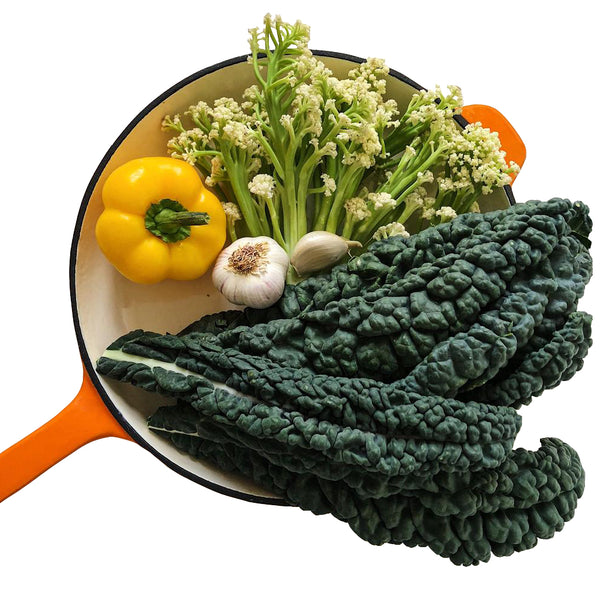 26cm Cast Iron Fry Pan - Orange