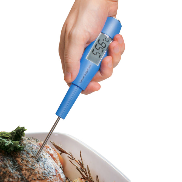 https://jean-patrique.co.uk/cdn/shop/products/JP0829-ThermometerwithSpatula-3_grande.jpg?v=1614605772