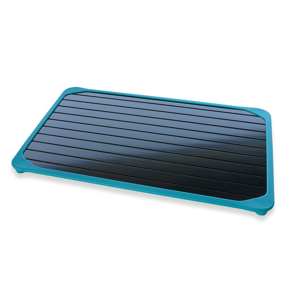 The Thawtful Defrosting Tray